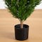 5ft. Potted UV Resistant Rosemary Cone Topiary Tree